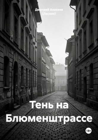 Обложка книги «Тень на Блюменштрассе»