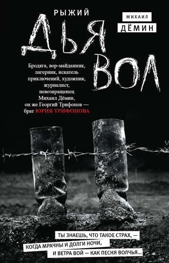 Обложка книги «Рыжий дьявол»