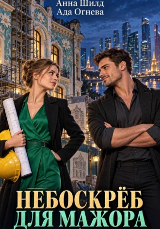 Обложка книги «Небоскрёб для мажора»