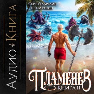 Обложка книги «Пламенев. Книга XI»