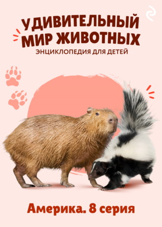 Обложка книги «Удивительный мир животных. Америка. 8 серия»
