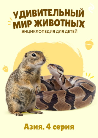 Обложка книги «Удивительный мир животных. Азия. 4 серия»