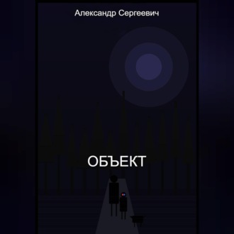 Обложка книги «Объект»
