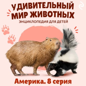 Обложка книги «Удивительный мир животных. Америка. Серия 8»