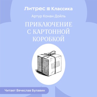 Обложка книги «Приключение с картонной коробкой»