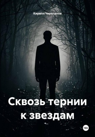 Обложка книги «Сквозь тернии к звездам»
