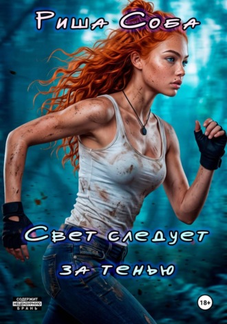 Обложка книги «Свет следует за тенью»