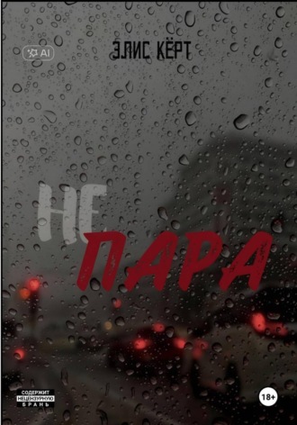 Обложка книги «Не пара»