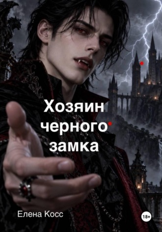 Обложка книги «Хозяин черного замка»