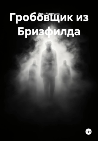 Обложка книги «Гробовщик из Бризфилда»