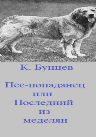 Обложка книги «Пёс-попаданец, или Последний из меделянок»