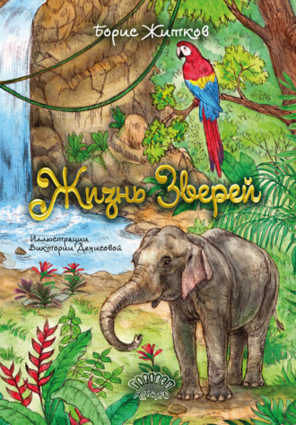 Обложка книги «Жизнь зверей»