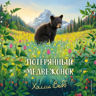 Обложка книги «Потерянный медвежонок»