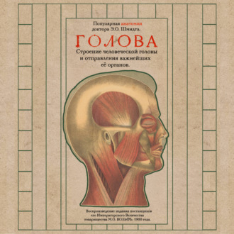 Обложка книги «Голова. Строение человеческой головы и отправления важнейших её органов»
