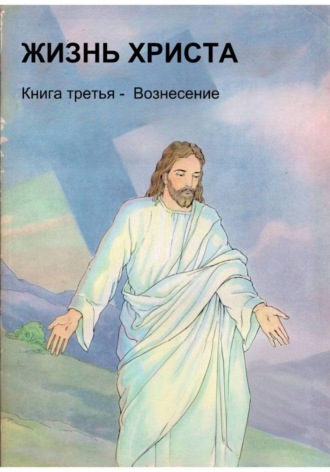Обложка книги «Жизнь Христа. Книга третья - Вознесение»