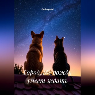 Обложка книги «Город, где дождь умеет ждать»