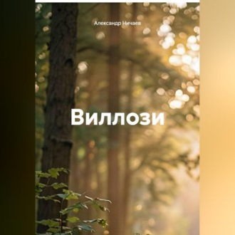 Обложка книги «Виллози»