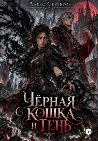 Обложка книги «Чёрная кошка и тень»