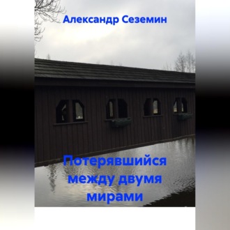 Обложка книги «Потерявшийся между двумя мирами»