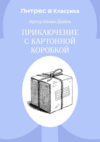 Обложка книги «Приключение с картонной коробкой»