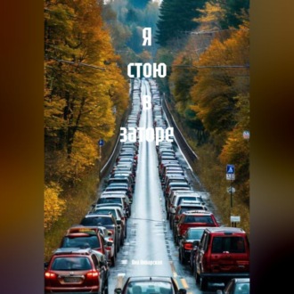 Обложка книги «Я стою в заторе»