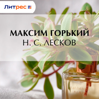 Обложка книги «Н. С. Лесков»
