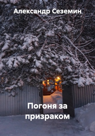 Обложка книги «Погоня за призраком»