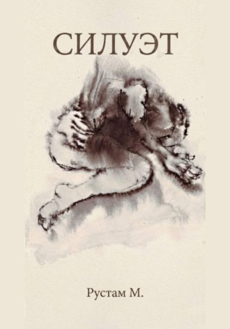 Обложка книги «Силуэт»