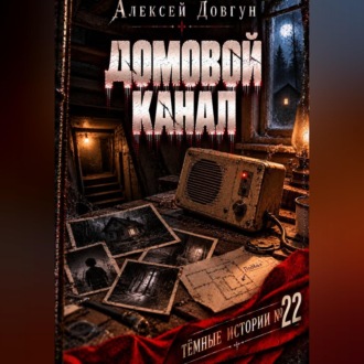 Обложка книги «Домовой канал»