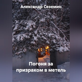 Обложка книги «Погоня за призраком»