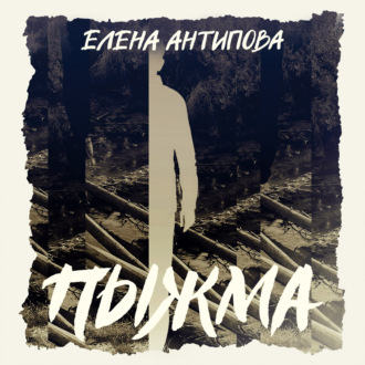 Пыжма