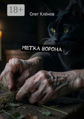 Обложка книги «Метка ворона»