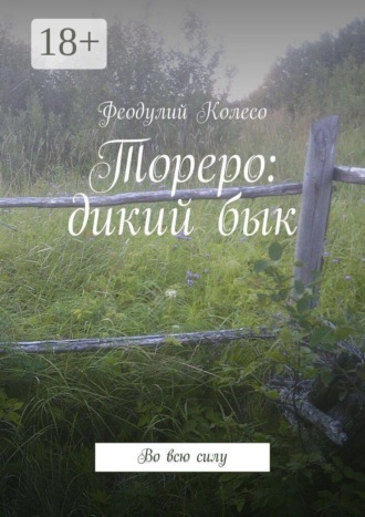 Обложка книги «Тореро: дикий бык. Во всю силу»