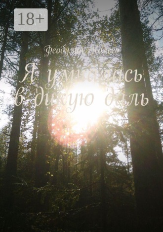 Обложка книги «Я умчалась в дикую даль»