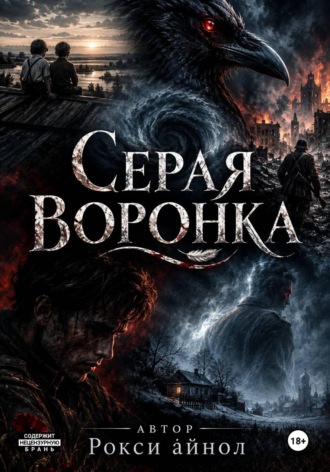 Обложка книги «Серая воронка»