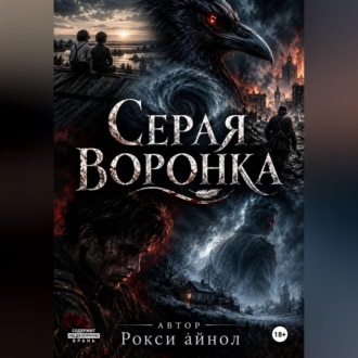 Обложка книги «Серая воронка»