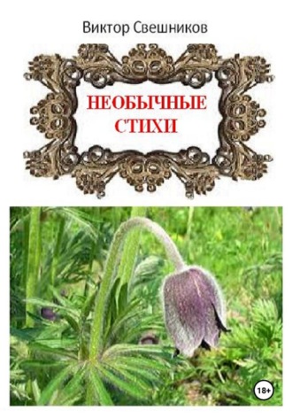 Обложка книги «Необычные стихи»