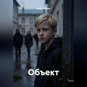 Обложка книги «Объект»