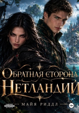 Обложка книги «Обратная сторона Нетланди»