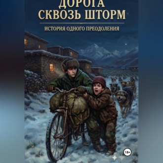 Обложка книги «ДОРОГА СКВОЗЬ ШТОРМ»