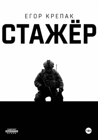 Обложка книги «Стажёр»