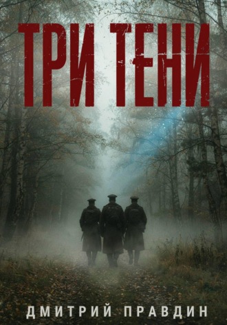 Обложка книги «Три тени»