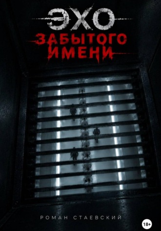Обложка книги «Эхо забытого имени»