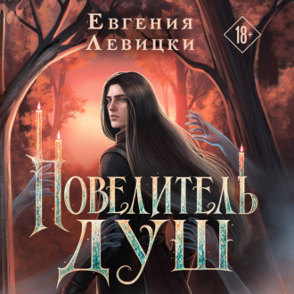 Обложка книги «Повелитель душ»