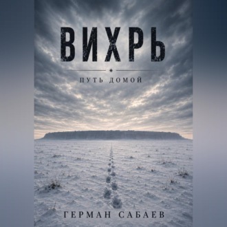 Обложка книги «Вихрь. Путь домой»