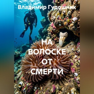 Обложка книги «НА ВОЛОСКЕ ОТ СМЕРТИ»