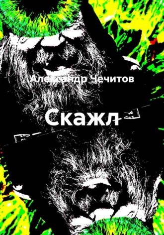 Обложка книги «Скажл»