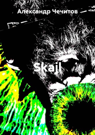 Обложка книги «Skajl»