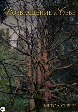 Обложка книги «Возвращение к себе. Метод Сергея»