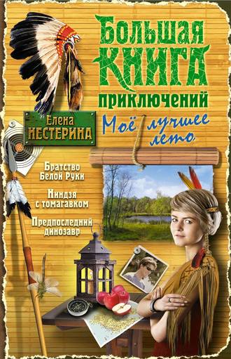 Елена Нестерина. Большая книга приключений. Мое лучшее лето (сборник)